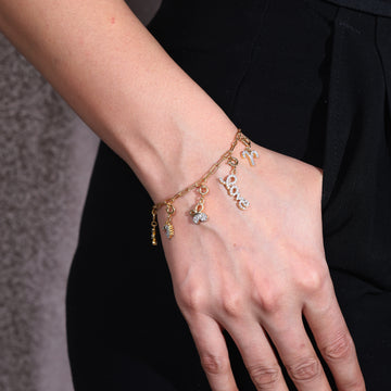 Charms Bracelet with Clip Chain
