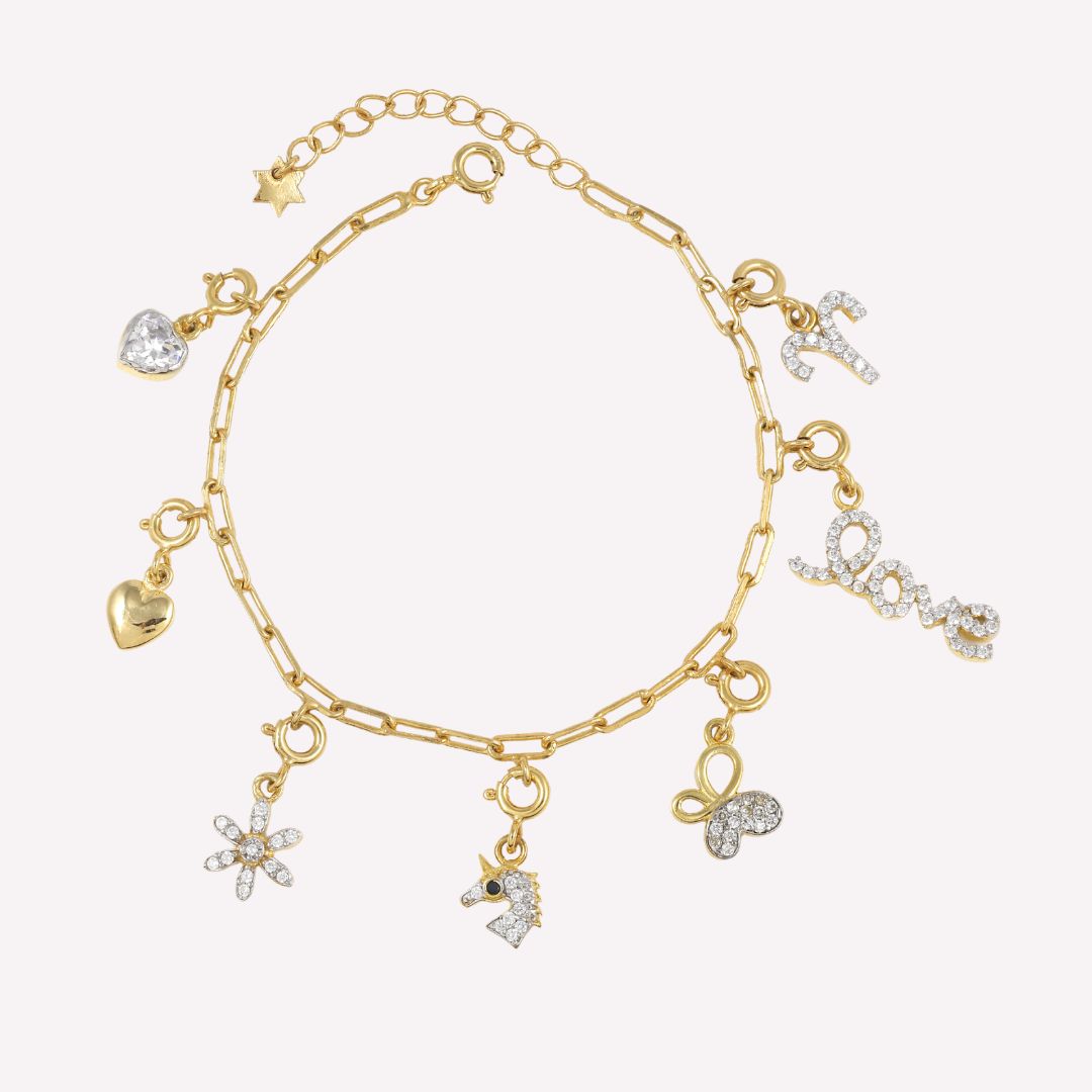 Charms Bracelet with 92.5 sterling Silver Clip Chain