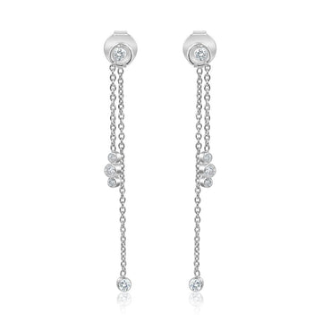 Dangling Duo Earrings