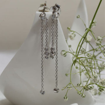 Dangling Duo Earrings